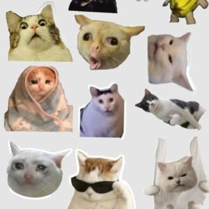 Funny Meme Cat Stickers